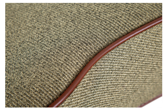 Ibanez FS40DA image 5