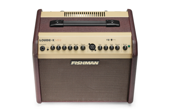 Fishman Loudbox Mini Bluetooth image 5