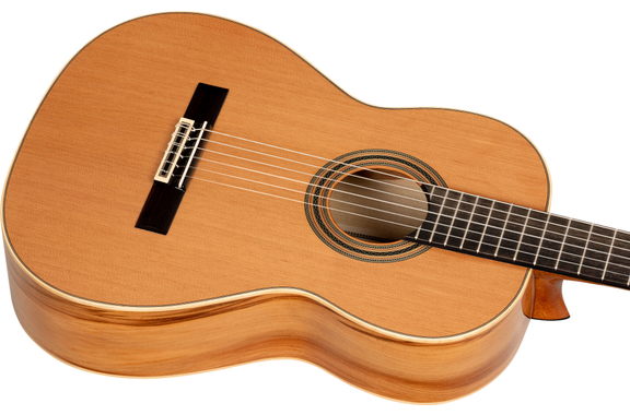 Ortega R20GRG Traditional Series 4/4 Guitare Classique image 5