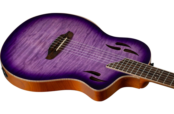 Ortega TourPlayer Special Edition image 5