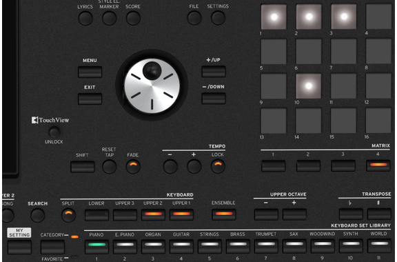 Korg Pa5X 76 Oriental image 5
