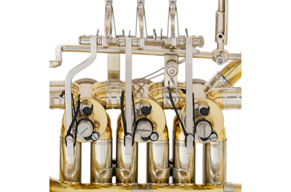 Lechgold DH-25L Cor Double Bb/F Verni image 5