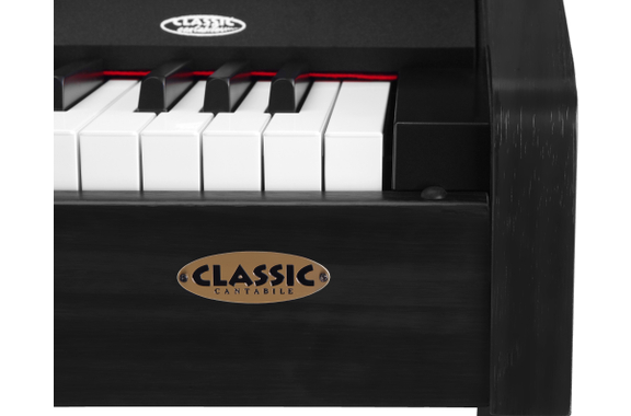 Classic Cantabile DP-210 SM E-Piano schwarz matt image 5
