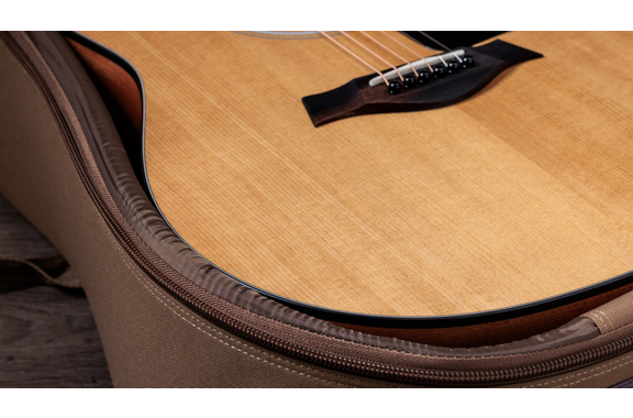 Taylor 117e image 5