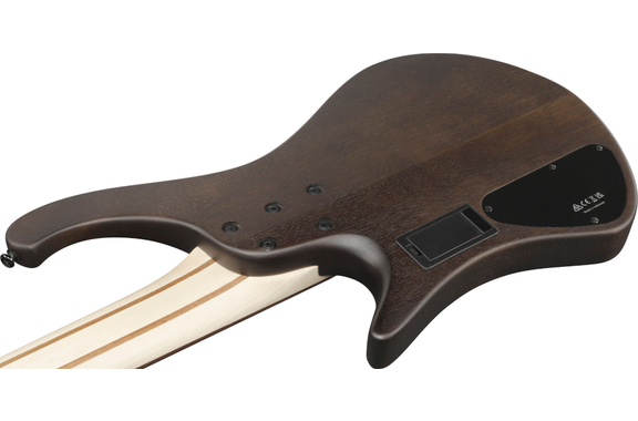 Ibanez EHB605-WNF Bass Workshop EHB Electric Bass Walnut Flat image 5