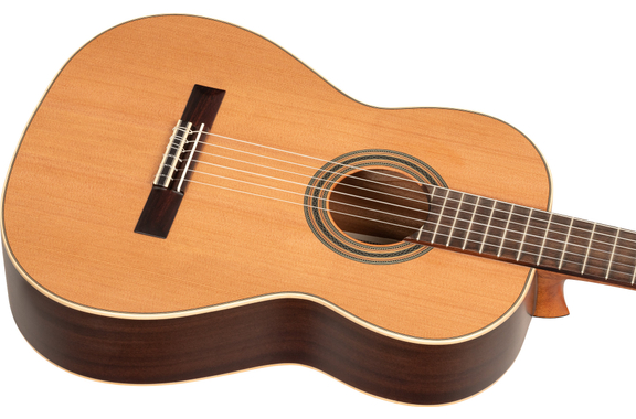 Ortega R18S Traditional Series 4/4 Guitare Classique image 5