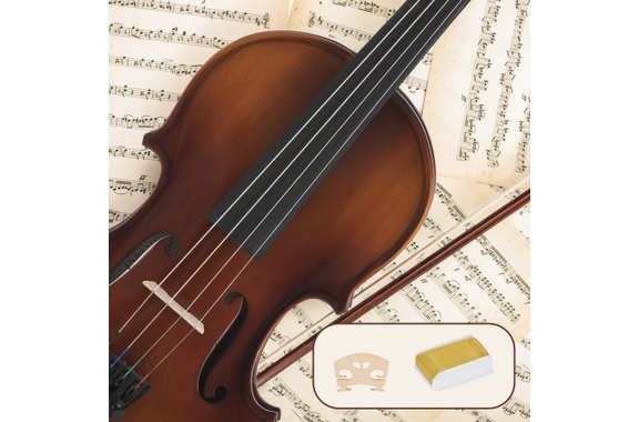 Classic Cantabile Student Violinset 1/2 image 5