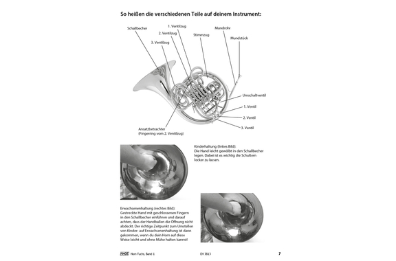 Horn Fox Volume 1 image 5