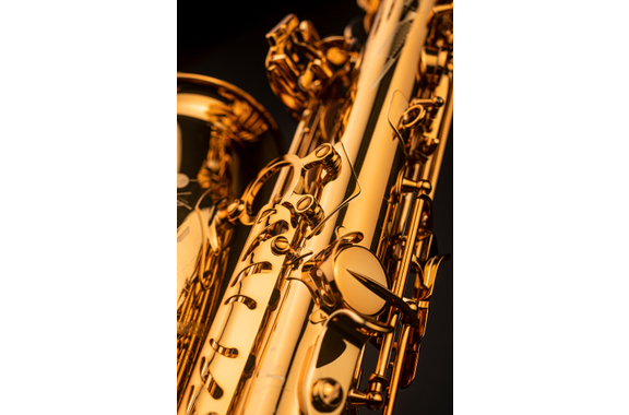 Selmer Sassofono Alto Eb Signature, Verniciatura Oro image 5