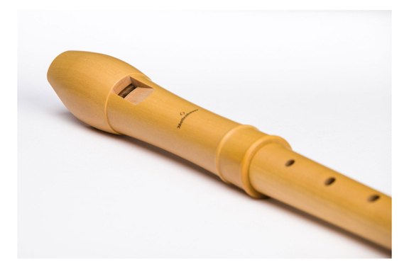 Mollenhauer Alto Recorder Canta Pearwood image 5