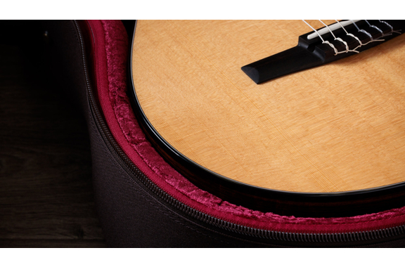 Taylor 212ce-N Plus Natural image 5