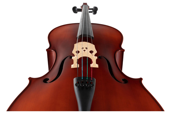 Classic Cantabile Brioso Cello Set 3/4 image 5