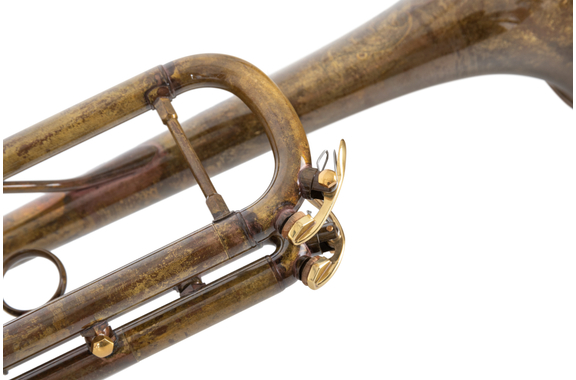 Lechgold TR-16V Trompeta Bb antigua image 5