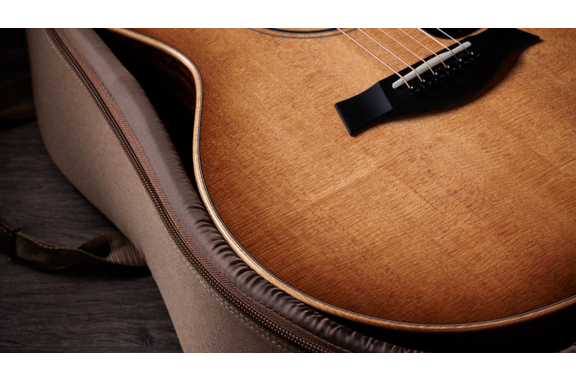 Taylor 314ce Studio Natural image 5