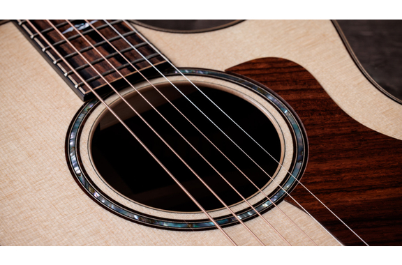 Taylor 814ce Next Generation image 5
