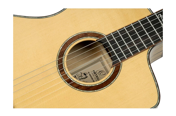 Ortega BYWSM Billy Watman Signature Guitar image 5
