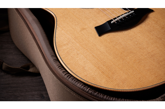 Taylor 414ce Studio Natural image 5