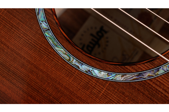 Taylor C14ce Custom #29 GA Master  image 5