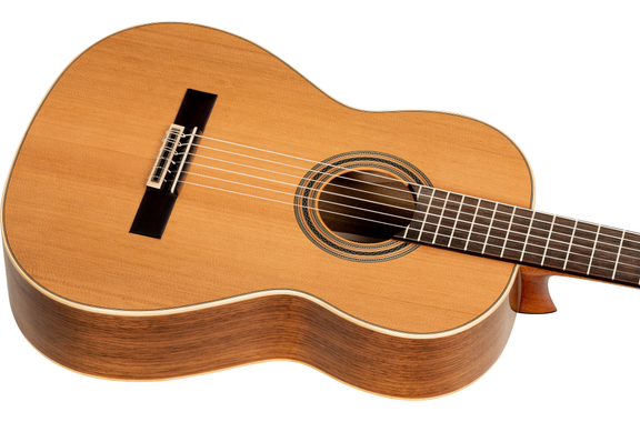 Ortega R20GWN Traditional Series 4/4 Guitare Classique image 5