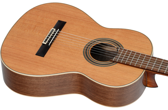 Ortega R20GSNWN Traditional Series 4/4 Guitare Classique image 5