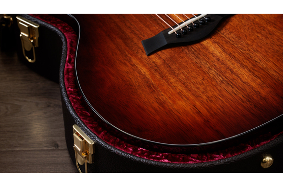 Taylor 224ce-K DLX Shaded Edgeburst image 5