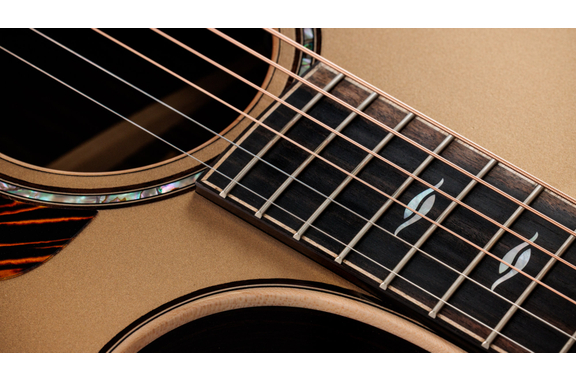Taylor Next Generation 814ce Limited Edition Casablanca Beige Metallic image 5