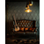 Rocktile Vinstage TL-RMAB Electric Guitar Antique Burst thumbnail 6