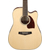 Ibanez PF16WCE-NT Natural thumbnail 6