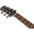 Ibanez AAM370M1CETPA Transparent Panda thumbnail 6