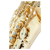 Lechgold LAS-20L Alt-Saxophon lackiert  - Retoure (Zustand: sehr gut) thumbnail 6