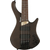 Ibanez EHB605-WNF Bass Workshop EHB Basse Électrique Walnut Flat thumbnail 6