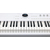 Arturia AstroLab 88 thumbnail 6