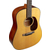 Martin Guitar DE-Retro Plus Mahogany  thumbnail 6