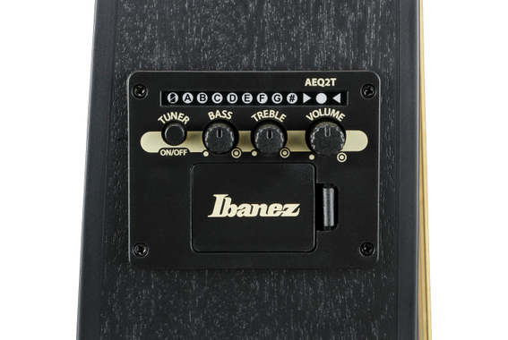 Ibanez TCY621-BOT Talman Gitarre Black Out image 6