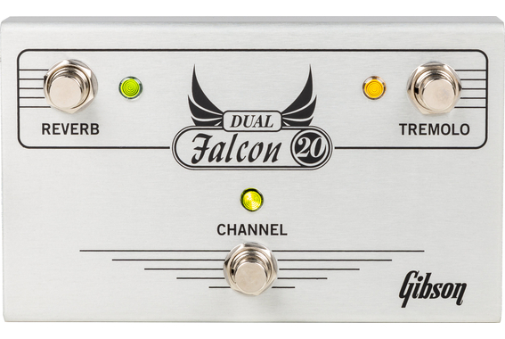 Gibson Dual Falcon 20 Combo 2x10 image 6