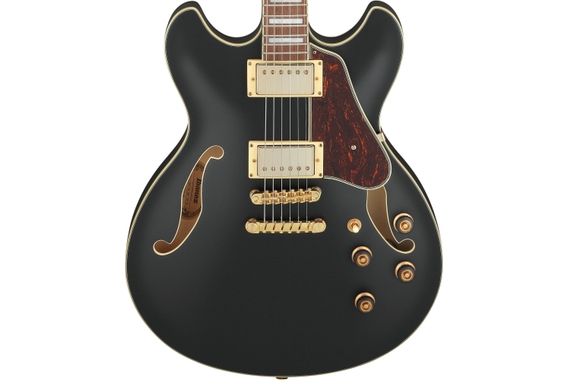 Ibanez AS73G-BKF Black Flat image 6