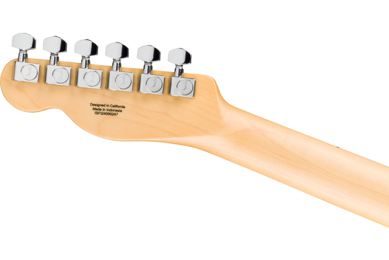 Fender Standard Telecaster Butterscotch Blonde image 6