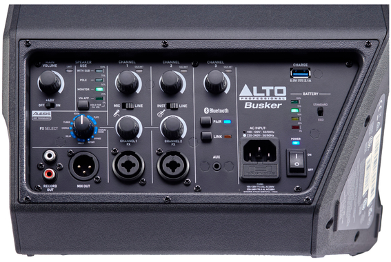 Alto Busker + Ensemble Pied image 6