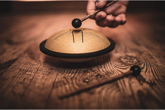 Meinl Sonic Energy Mini Steel Tongue Drum Gold image 6