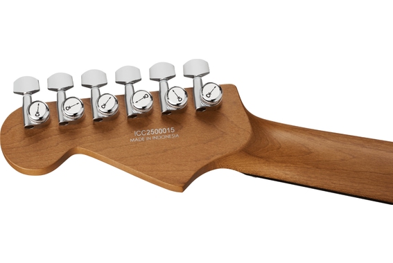Charvel Pro-Mod Plus Dinky DK24 HH 2PT E Celestial Silk image 6