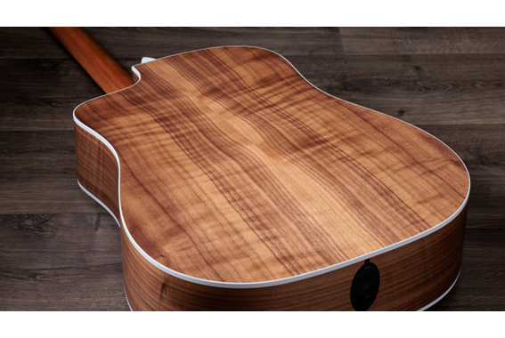 Taylor 210ce image 6