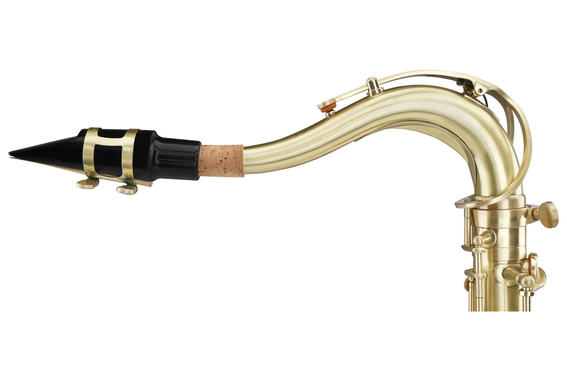 Classic Cantabile Winds TS-450 Tenor Saxofón Cepillado image 6