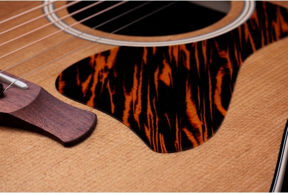 Taylor Gold Label 710e image 6