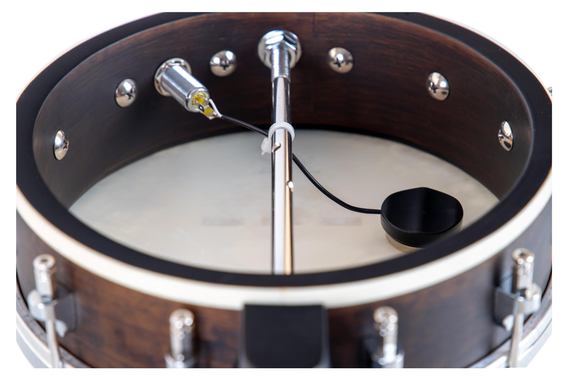 Gold Tone BU-1 Banjo-Ukulélé Format Concert image 6