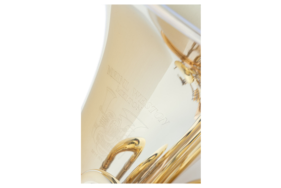 Melton 2011RA "Gravity" Bb-Tuba image 6