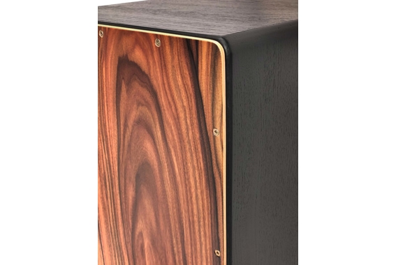 PUR Vision Pro Santos-Palisander image 6