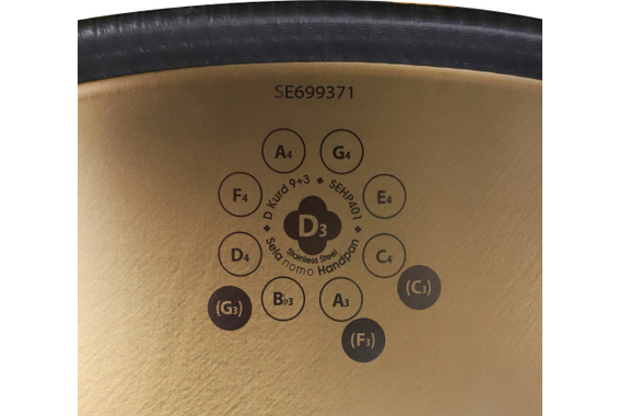 Sela SEHP401 Nomo Handpan D Kurd 9 +3 Edelstahl image 6