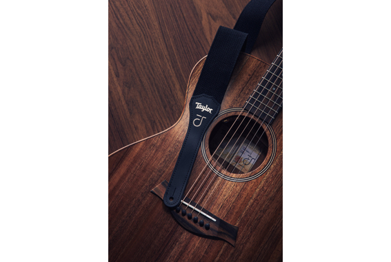Taylor Jacob Collier Signature JCSM-5  image 6