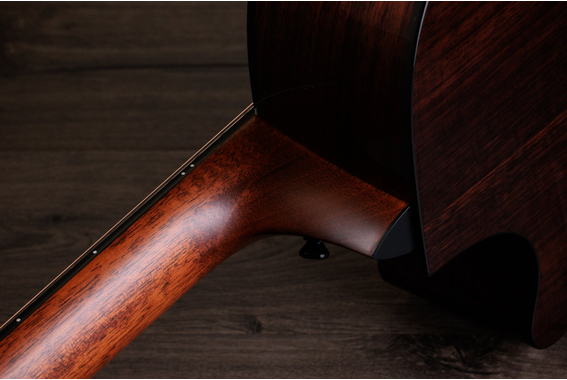 Taylor 454ce Next Generation image 6