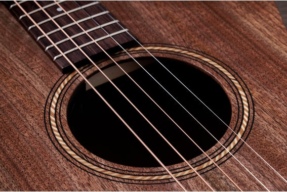 Jacob Collier Academy 22e 5-String image 6